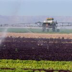 Kalifornien kann den Durst seiner Bauern stillen, indem es Wasser unter der Erde speichert