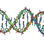 Forscher entschlüsseln Südafrikas bisher älteste menschliche DNA