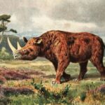 Wollnashorn nach 32.000 Jahren intakt im russischen Permafrost gefunden