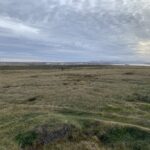 Die rauen Landschaften der Falklandinseln waren einst üppiger Regenwald, sagen Forscher