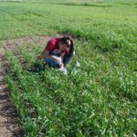 Wissenschaftler streben nach einem Gleichgewicht zwischen landwirtschaftlicher Produktion und Umweltschutz