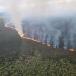 Feuerwehrleute bekämpfen einen Großbrand, der das neuseeländische Feuchtgebiet, in dem gefährdete Arten leben, verwüstet