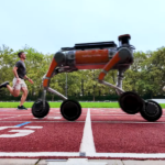 Robotervideos: Swiss-Mile-Lieferroboter, Fruchtfliegenroboter und mehr