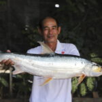 Im Mekong wurde ein ausgestorbener Riesenfisch gesichtet