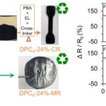 Forscher entwickeln dynamisches Polymernetzwerkmaterial für hochempfindliche, recycelbare Sensoren