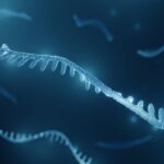 MicroRNA – neuer Nobelpreisträger beschreibt den wissenschaftlichen Prozess der Entdeckung dieser winzigen Moleküle, die Gene an- und ausschalten