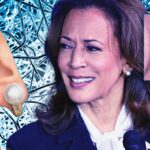 Wir haben eine Debatte geführt, um die Bluetooth-Ohrringe zu testen, die Kamala Harris nicht trug