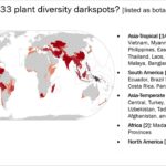 Die Forschung zeigt „schwarze Flecken“ in der globalen Pflanzenvielfalt auf, in denen wissenschaftliche Anstrengungen dringend erforderlich sind