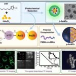 Photochemische Methode verstärkt die Lumineszenz von Gold-Nanosonden für die Biobildgebung