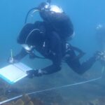 Forscher warnen, dass Korallenrifffischen auf den Inseln des Great Barrier Reef nicht mehr die Zeit bleibt, sich zu erholen